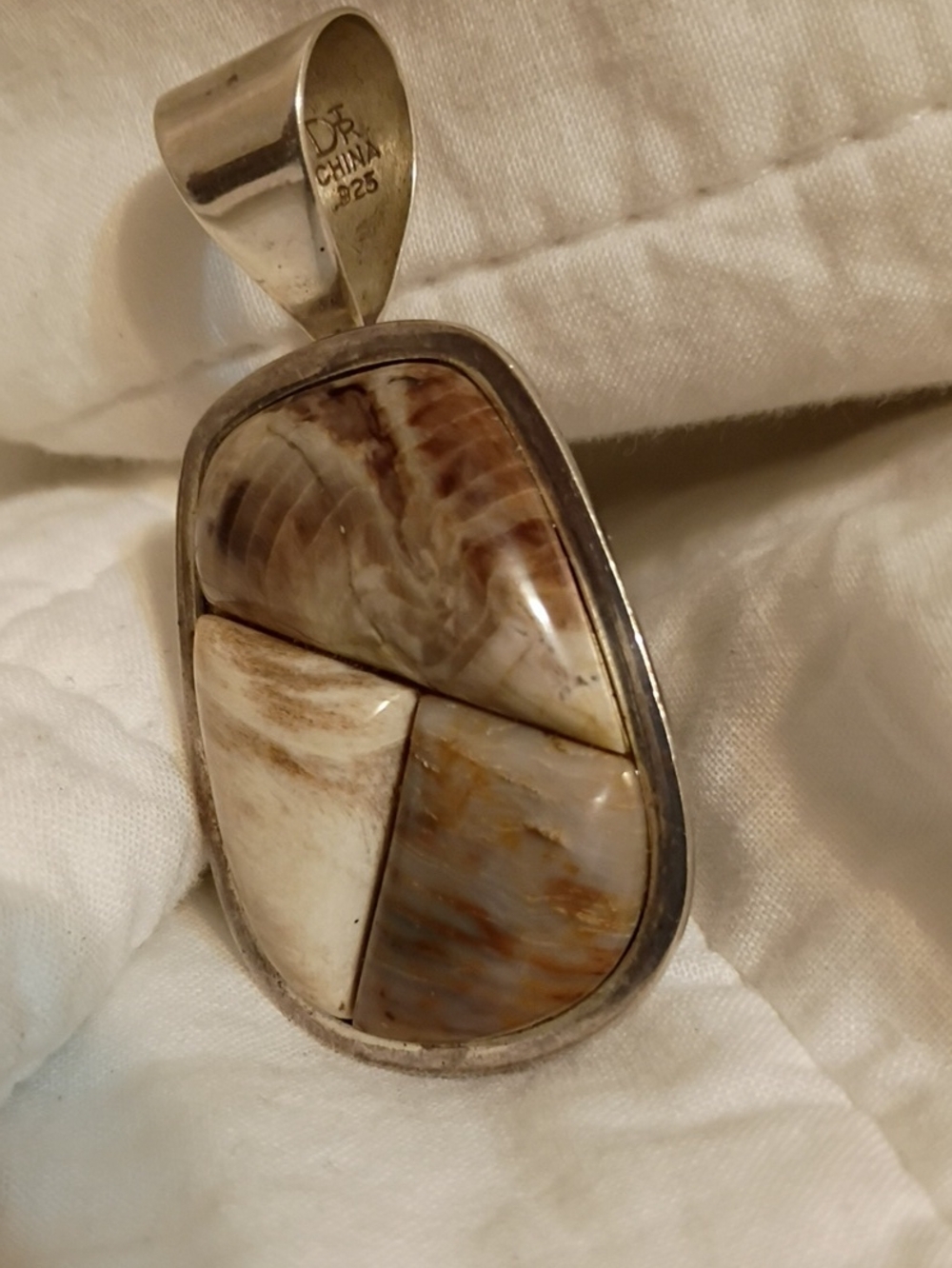 Petrified Wood Pendant